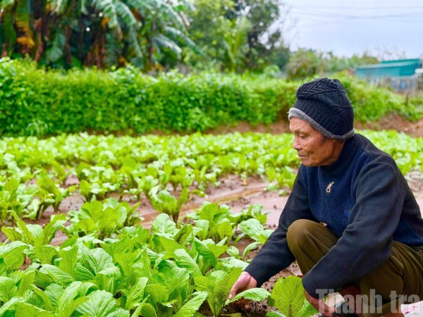 Xã Ea Kar bứt phá trong hành trình giảm nghèo bền vững